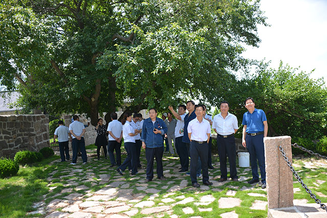 好DSC_8117.JPG